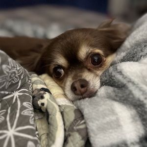 Meet your Posher, April